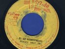 1311 PRINCE BROTHERS-FI MI SOMETHING-HOLD HIM JOE-HIGH NOTE-REGGAE 45 7