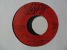 THE NASTY DOG CATCHERS Nasty Dog JATO Miami Funk 45 Clarence Reid HEAR