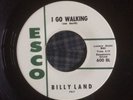 Billy Land - I Go Walking - Unknown Mod New Breed R&B Dancer