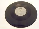 W.A.S.P. - Animal/Show No Mercy ORIG. US ACETATE  *MEGA RARITY* (DOUBLE WALLY)
