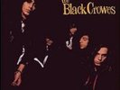 Black Crowes - Shake Your Money Maker [Vinyl New]