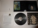 Chris Squire Fish Out of Water 1975 Japan 1st Analog Press ULTRASONIC CLEAN