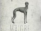 Maigre [Analog] Igorrr & Ruby My Dear LP Record