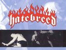HATEBREED-SATISFACTION IS THE DEATH OF DESIRE  (US IMPORT)  VINYL LP NEW