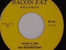 THE IMAGINATIONS: I Want a Girl NORTHERN SOUL Bacon Fat VG+ 45 Hear It