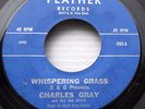 CHARLES GRAY & INK SPOTS 45 Into each life Whispering grass jr115