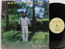 DAVID HOLLEN Cross The Line LP RARE PRIVATE Xian AOR Modern Soul Funk HEAR