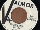 VALMOR teen rock PROMO 45  CATHY JEAN & ROOMATES - Please Love Me Forever  NM
