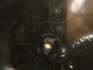 Shellac TEST 
