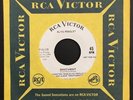 * ELVIS PRESLEY Roustabout/One Track Heart RARE SP-45-139 PROMO  NOT FOR SALE 45