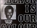 WAYNE WADE vinyl LP ? Black Is Our Colour color ? 1976  prophets original lp