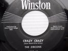 ZIRCONS 45 Crazy crazy Return my love 1958 Texas ROCKABILLY on WINSTON CC1332