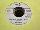 14A VG+ garage Boys Blue you got what I want ABC Paramount