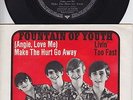 FOUNTAIN OF YOUTH * 1968 US GARAGE TEENBEAT PEBBLES NUGGETS * German 45 *