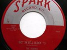 THE ROBINS 45 Riot In Cell Block #9 / Wrap It Up DOO WOP Original bb3197