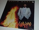 DAVID MAREZ - WILDFIRE  - CAPITOL 42446 - TEJANO LP SEALED