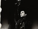 PETER MURPHY**WILD BIRDS LIVE TOUR**2 VINYL SET