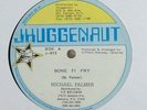 Michael Palmer 