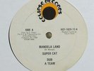 Super Cat/Lily Melody 
