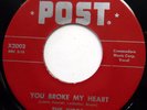 THE KIDDS 45 You Broke My Heart I Won't Be Back NEAR MINT Doo Wop REISSUE bb3228