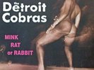 DETROIT COBRAS 