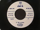 EMPIRES Zippety Zip/If I'm A Fool PROMO 45 Old Stock MINT Rare DOO-WOP AMP 132-1