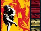 GUNS N ROSES**V1 USE YOUR ILLUSION**2VINYL SET