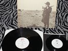 Jeffrey Lee Pierce Wildweed 12