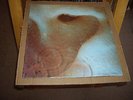 PINK FLOYD.MEDDLE.GFD.LP.1971.SHVL 795.BLACK HARVEST.BARCODE.EX.
