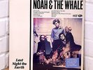 NOAH & THE WHALE 12