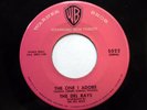 DEL RAYS 45 My darling / The one i adore  WARNER BROS Doowop mg344