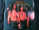 Dismember - Like An Ever Flowing Stream  LP Ltd picture disc Germany 1991 EX