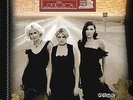 THE DIXIE CHICKS ***Home ***BRAND NEW DOUBLE GATEFOLD RECORD LP VINYL