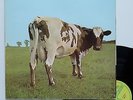 Vinyle 33T Pink Floyd  