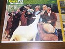 Beach Boys Pet Sounds Rare Mono LP 1966 Capitol T 2458 Surf Pop Rock