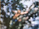 Pink Floyd - Obscured by Clouds 1972 Harvest SHSP 4020 First (only) AUS pressing