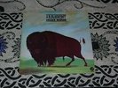 J.D. BLACKFOOT LP The Song Of Crazy Horse   ORIG ’74 FANTASY   HARD ROCK