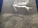 Vintage Jazz LP Bill Evans Jim Hall Undercurrent Original M- GFC