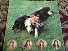 The World of Skin Ten Songs for Another World Vinyl LP SWANS Young God 1990