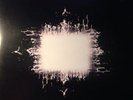 Tool Aenima Vinyl