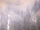 WOLVES IN THE THRONE ROOM - Diadem Of 12 Stars - Vinyl (2xLP)