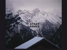 Stray Ashes (Lpcd) [VINYL] Jbm Vinyl