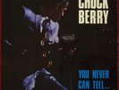 Chuck Berry You Never Can Tell original PYE  UK vinyl album EX/NMint + programme