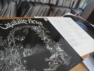 CAPABILITY BROWN - FROM SCRATCH 