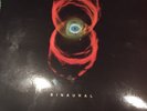 PEARL JAM BINAURAL VINYL (2LP)