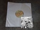 JEFFREY LEWIS - The Last Time I Did Acid I Went Insane LP TEST PRESSING