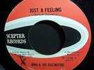 1965 Irma & The Fascinators ?Just A Feeling 45