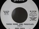 Eddie Curtis 45 Those Foxes and Pussycats Pt's I&II Rare R&B Soul WLP Demo Josie