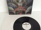 Warfare Deathcharge Lp R.K.T. Records Monster Vinyl