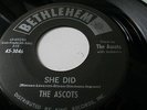 Ascots Bethlehem 3046 She did